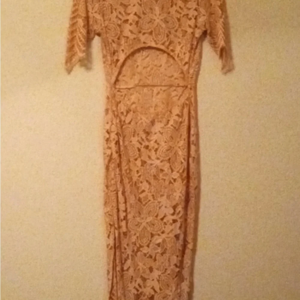 For Love and Lemons All Lace Dress - Picture 8 of 8